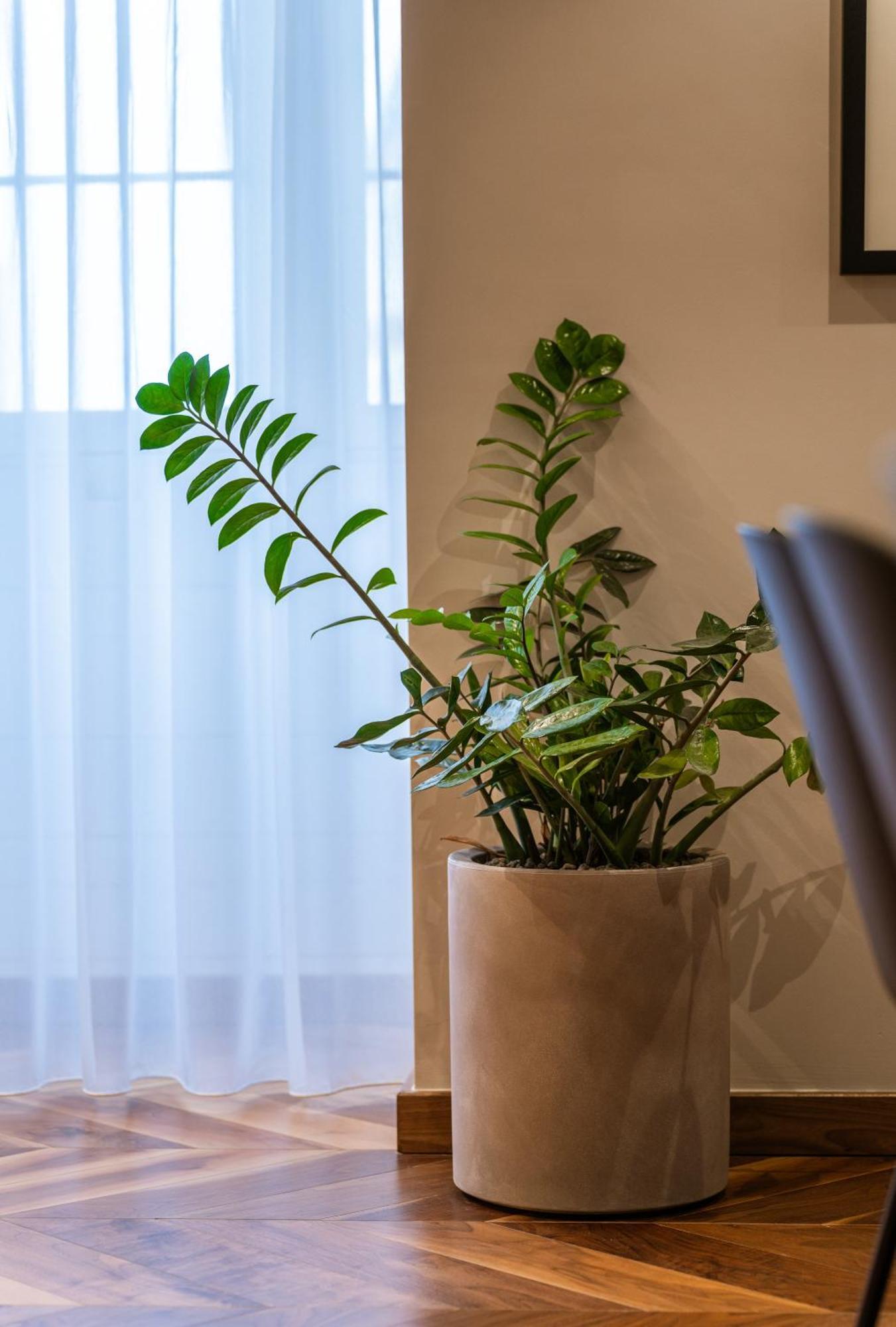 Apartment Trabuxu Boutique Living Valletta