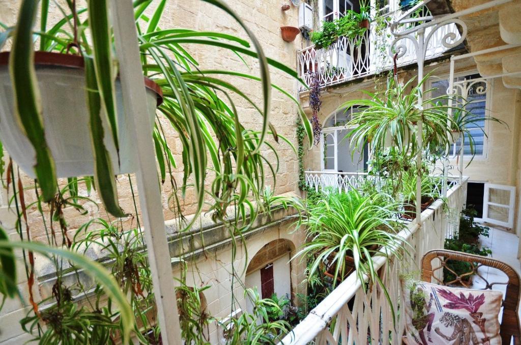 Guest house Palazzo 4*