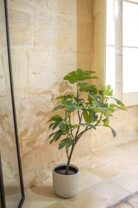 Chic, Stylish & Spacious Flat In Apartment Valletta