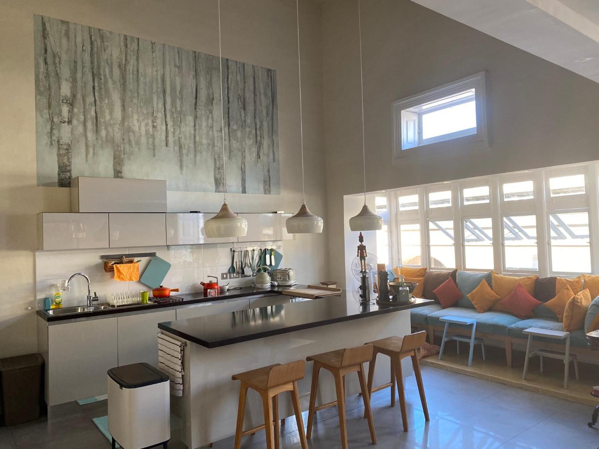 Apartment Palatial Flat Inside Bright Duplex Penthouse