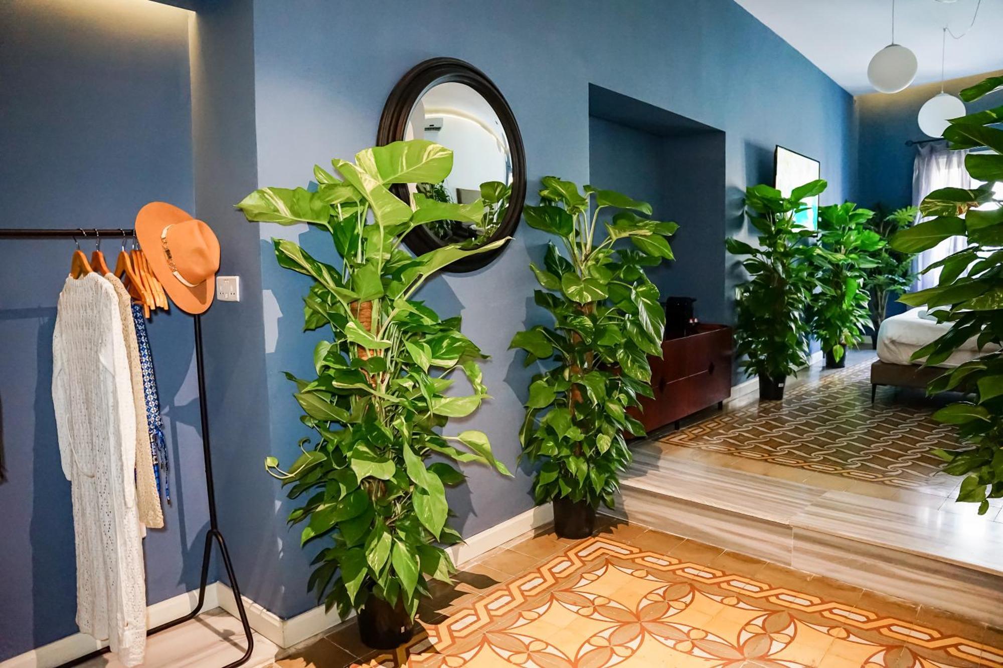 Valhalla Boutique Hotel 5*