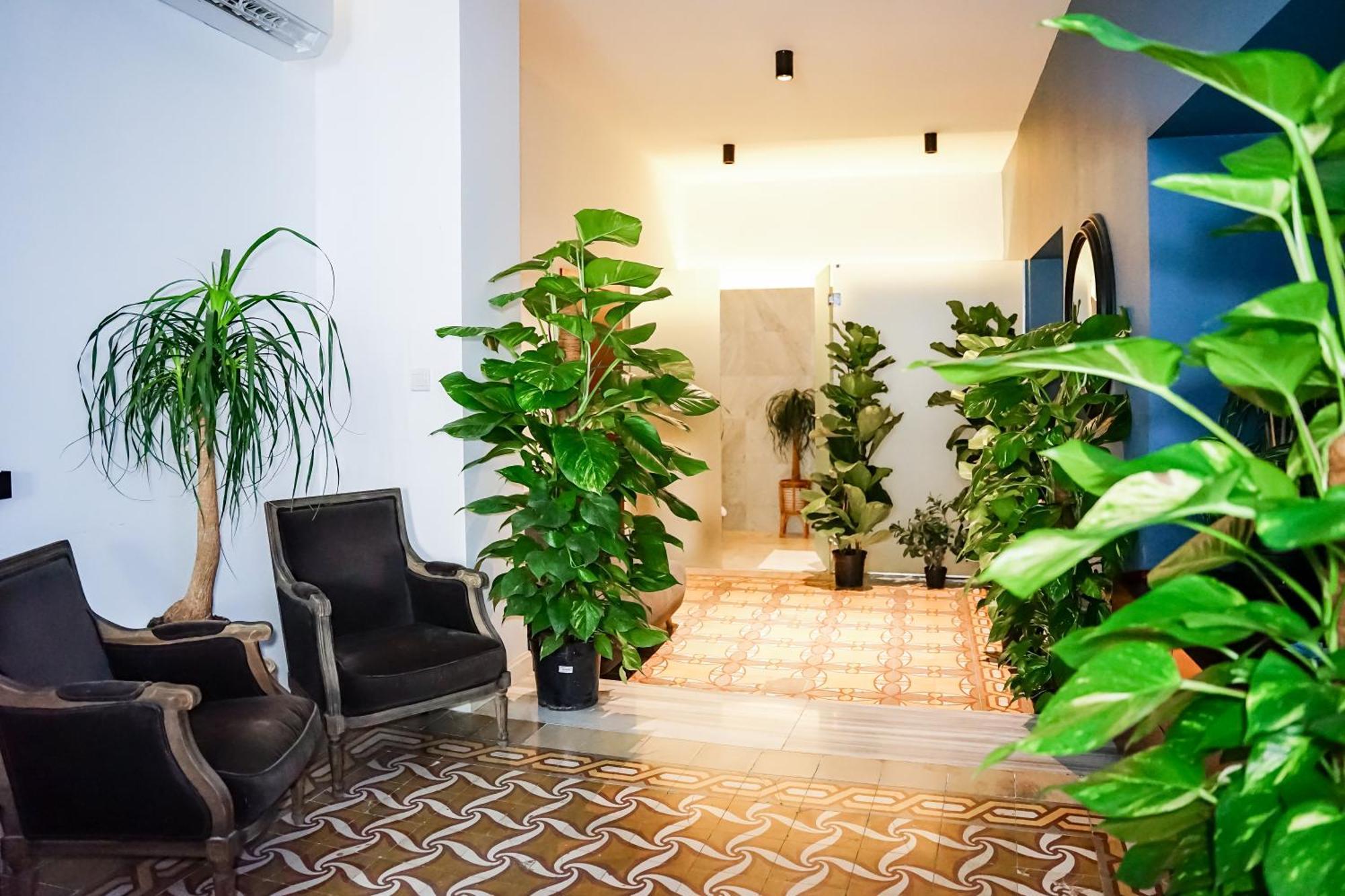 Valhalla Boutique 5* Valletta