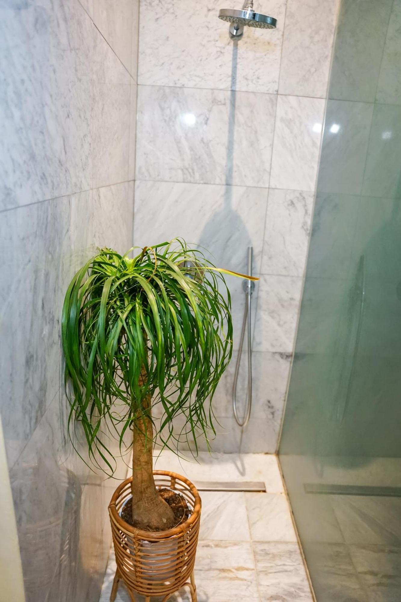 Valhalla Boutique 5* Valletta