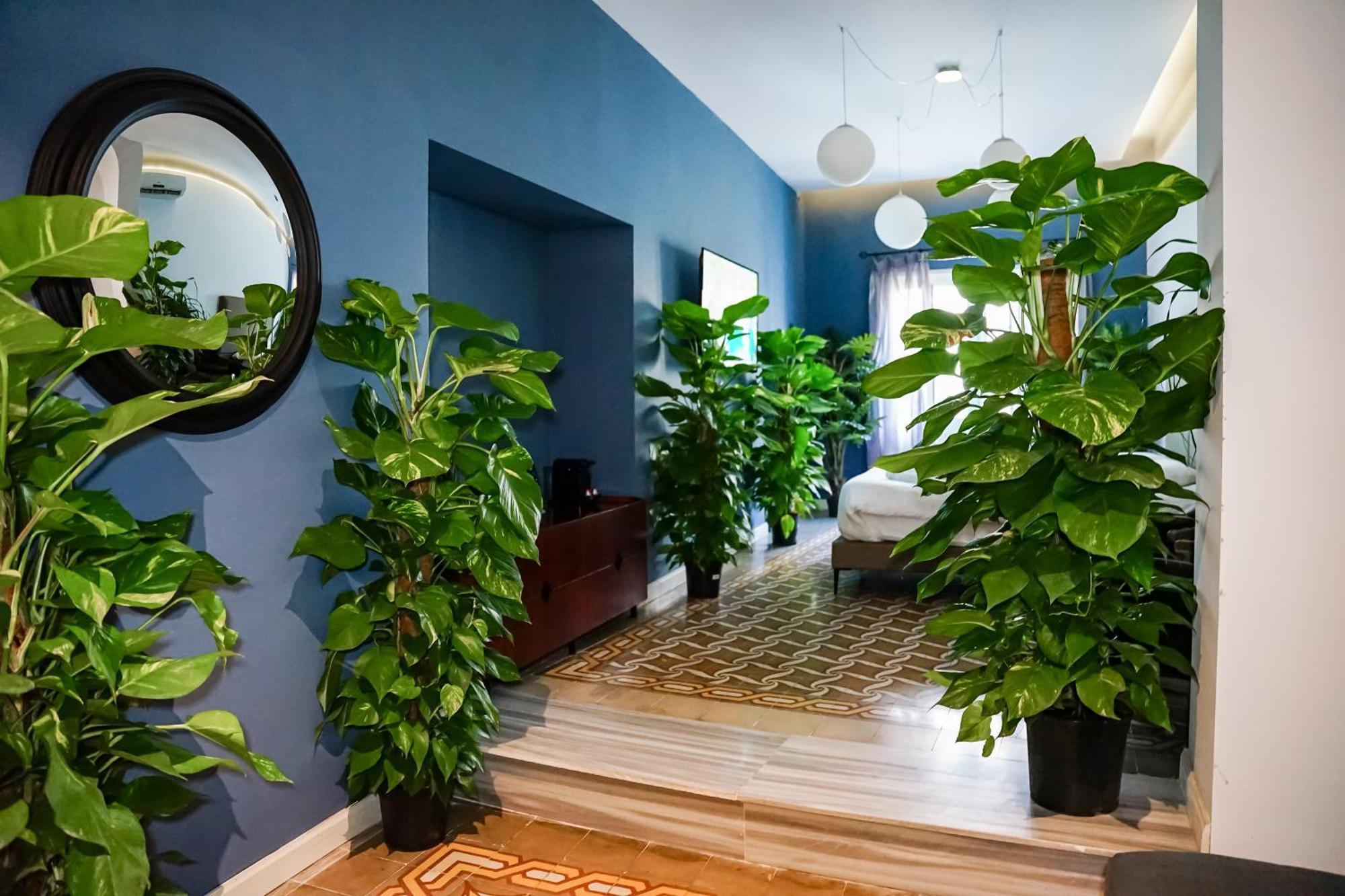Valhalla Boutique Hotel 5*