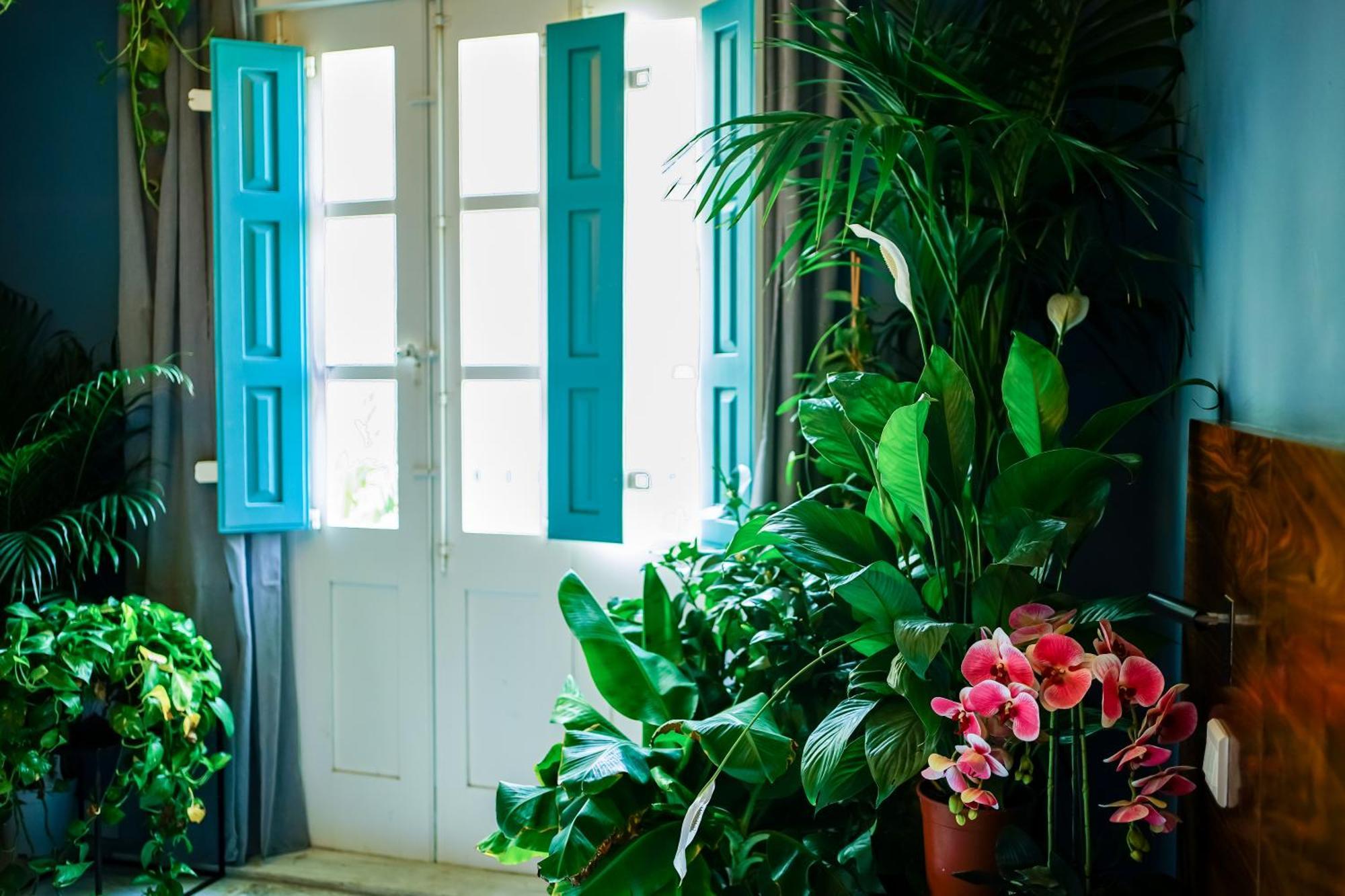 Valhalla Boutique Hotel